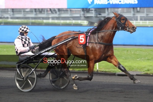 FIDELE ROYAL (par VAUX LE VICOMTE) gagne en 1'11''7 à Vincennes