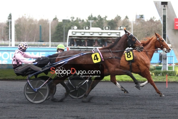 Colonel 2e du Quinté+ Prix de Lille